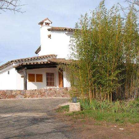 Finca Horno De Cal 阿拉色那 外观 照片