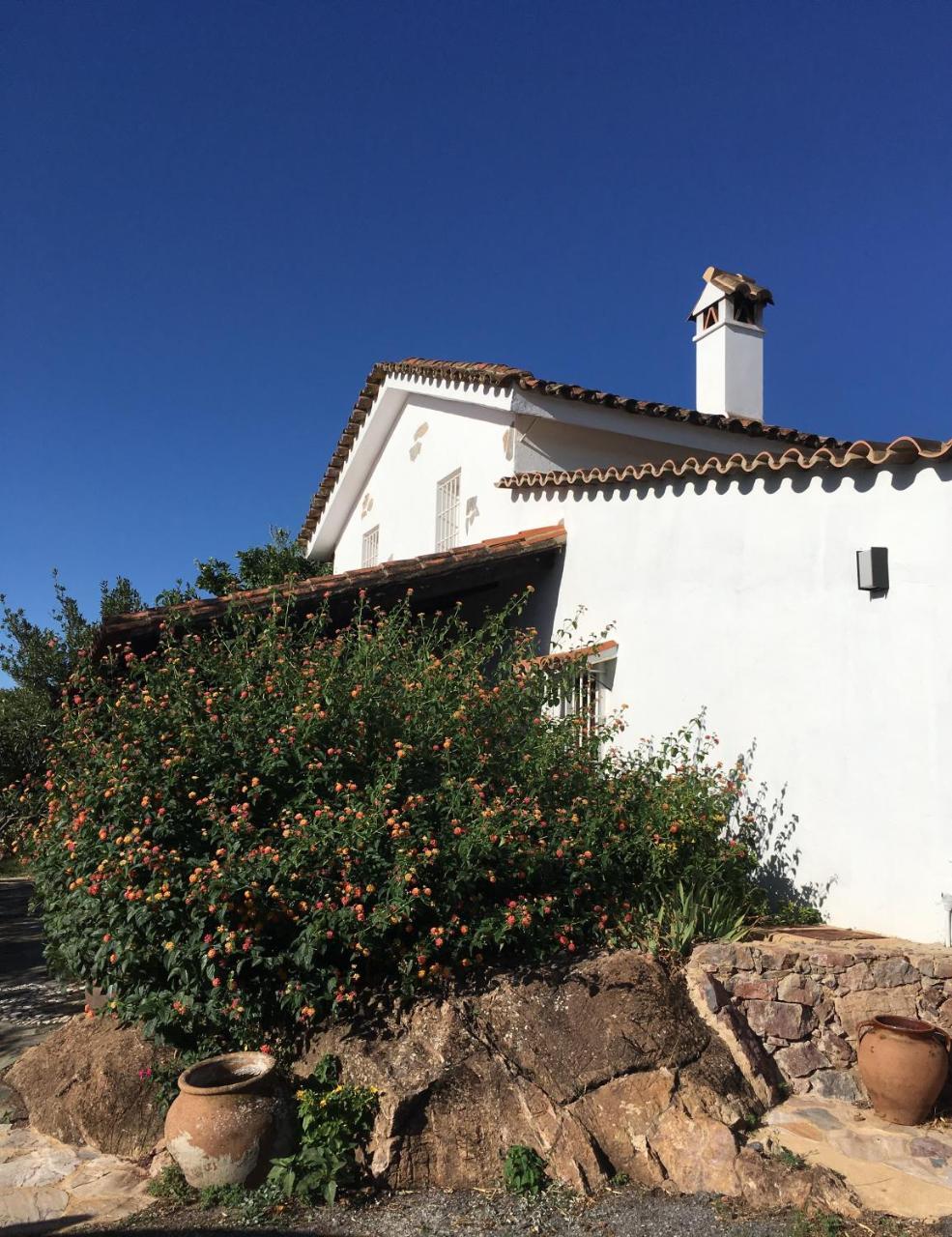 Finca Horno De Cal 阿拉色那 外观 照片