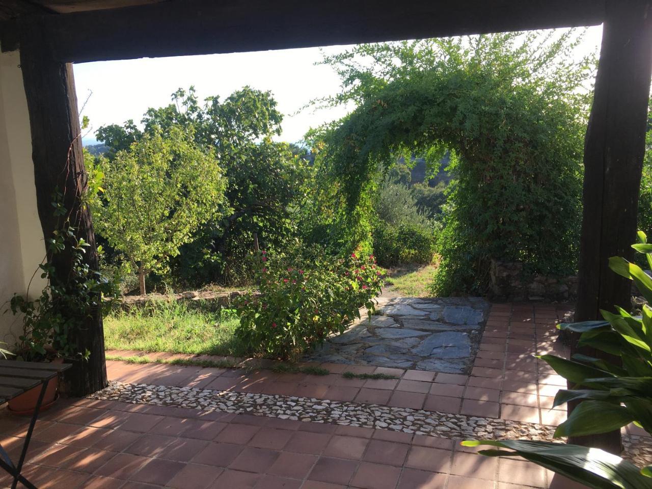 Finca Horno De Cal 阿拉色那 外观 照片