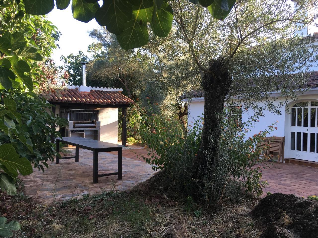 Finca Horno De Cal 阿拉色那 外观 照片