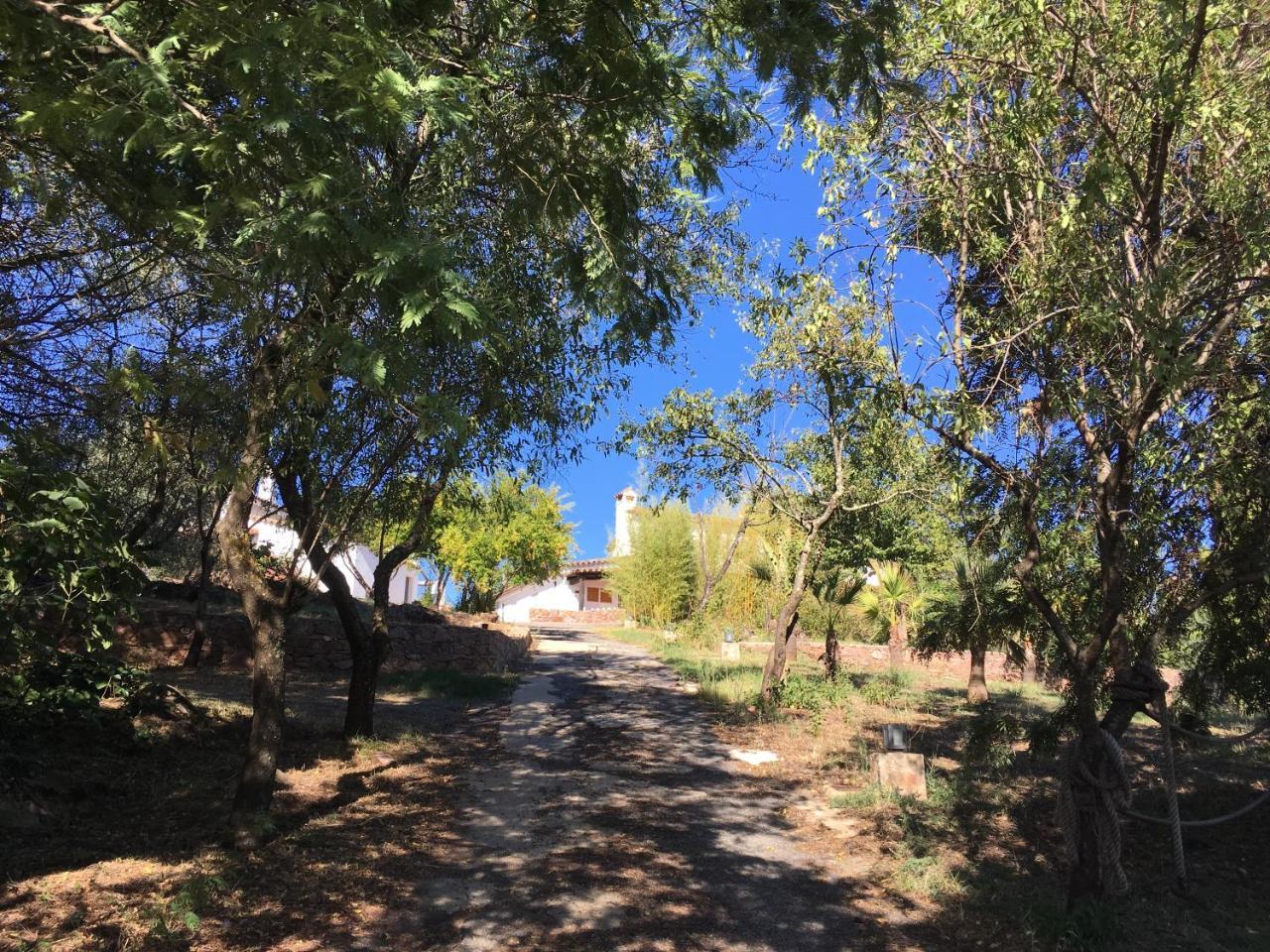 Finca Horno De Cal 阿拉色那 外观 照片